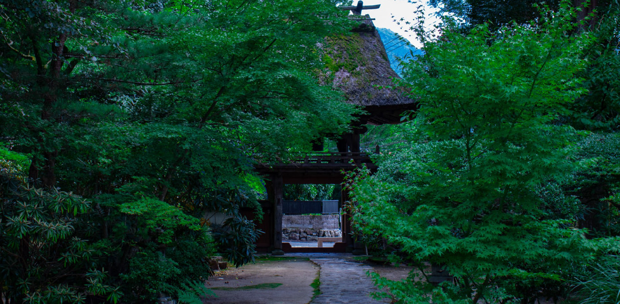 とある神社での一枚